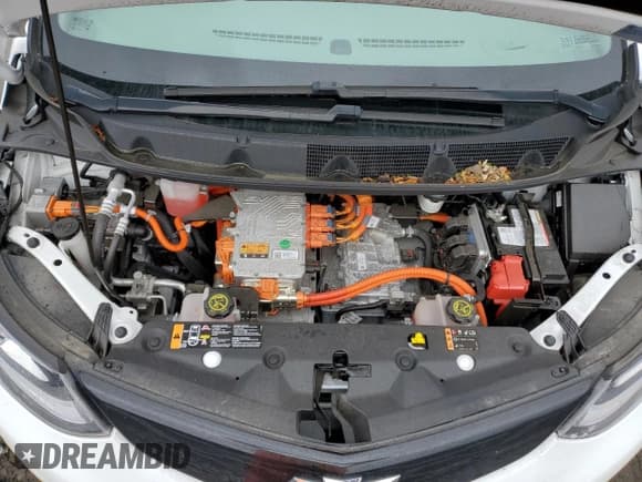 ✅ 2017 Chevrolet Bolt EV Premier • VIN: 1G1FX6S07H4141943 • Lot: 52696674. Wystawiony na Copart z przebiegiem 77 011 mil. Bezpłatny archiwum sprzedaży aukcyjnych z USA i szczegółowy raport historii pojazdu na DreamBid. Zdjęcie 11.