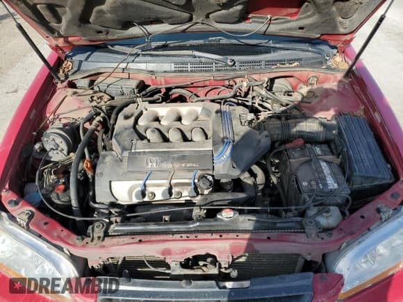 ✅ 1999 Honda Accord EX • VIN: 1HGCG2254XA008668 • Лот: 48121605. Опубликован ранее на Copart с пробегом 353 042 миль. Бесплатный доступ к архиву аукционных продаж из США и подробный отчёт об истории автомобиля на DreamBid. Изображение 11.