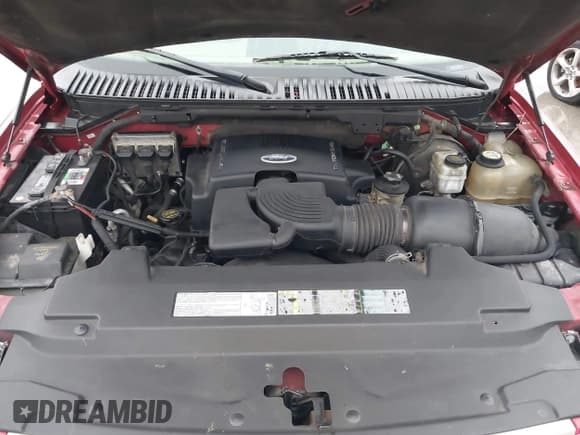 ✅ 2003 Ford Expedition Eddie Bauer • VIN: 1FMFU17L13LA54748 • Лот: 43769745. Опубликован ранее на IAAI с пробегом 195 390 миль. Бесплатный доступ к архиву аукционных продаж из США и подробный отчёт об истории автомобиля на DreamBid. Изображение 10.