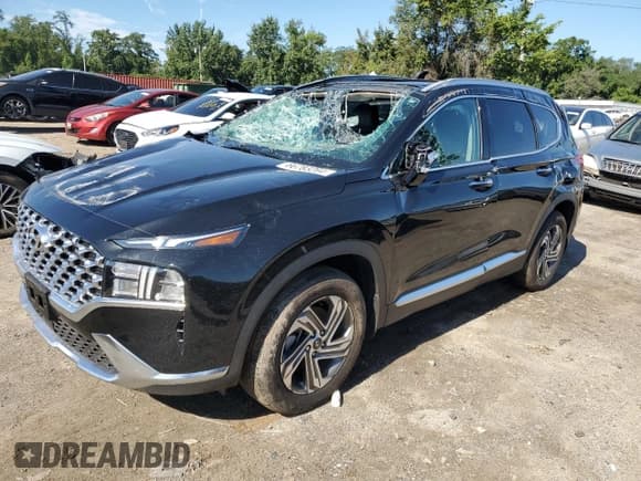 ✅ 2023 Hyundai Santa Fe SEL • VIN: 5NMS34AJXPH560617 • Lot: 66783264. Wystawiony na Copart z przebiegiem 6 435 mil. Bezpłatny archiwum sprzedaży aukcyjnych z USA i szczegółowy raport historii pojazdu na DreamBid. Zdjęcie 1.