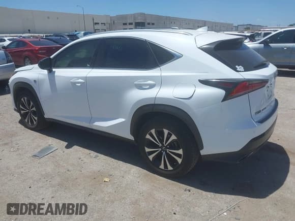 ✅ 2019 Lexus NX 300 • VIN: JTJBARBZ6K2207065 • Lot: 42850224. Listed on IAAI with 95,286 mi. Free auction sales archive from the USA and detailed vehicle history report at DreamBid. Image 3.