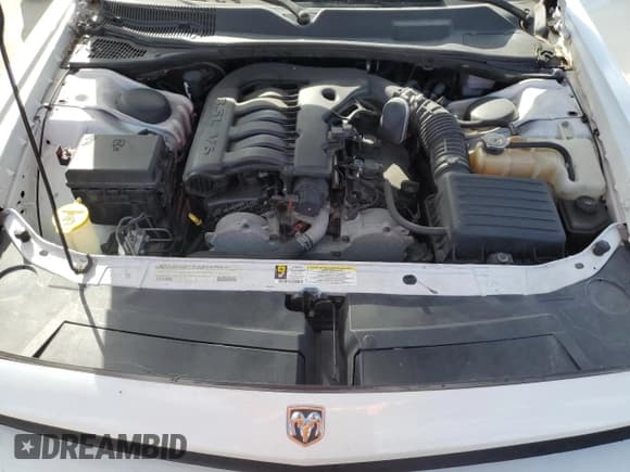 ✅ 2010 Dodge Challenger SE • VIN: 2B3CJ4DV1AH300457 • Lot: 76714904. Wystawiony na Copart z przebiegiem 187 962 mil. Bezpłatny archiwum sprzedaży aukcyjnych z USA i szczegółowy raport historii pojazdu na DreamBid. Zdjęcie 11.