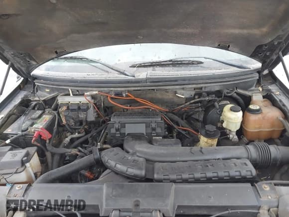 ✅ 2008 Ford F-150 XLT • VIN: 1FTPW14V78FB58854 • Lot: 43386664. Listed on IAAI with 255,552 mi. Free auction sales archive from the USA and detailed vehicle history report at DreamBid. Image 10.