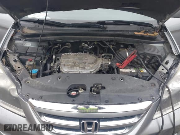 ✅ 2007 Honda Odyssey EX • VIN: 5FNRL384X7B063450 • Lot: 43029485. Listed on IAAI with 175,380 mi. Free auction sales archive from the USA and detailed vehicle history report at DreamBid. Image 10.