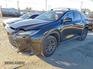 ✅ 2025 Lexus NX 250 • VIN: 2T2ADCAZXSC020817 • Lot: 95677315. Listed on Copart with 18,930 mi. Free auction sales archive from the USA and detailed vehicle history report at DreamBid. Image 1.