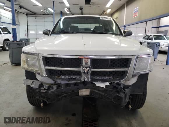 2010 Dodge Dakota ST with VIN 1D7CW2GK6AS125806, listed as a Copart auction lot 81616924 with 223,513 mi miles and Salvage title. Bid and sale history available at DreamBid. Image 5.