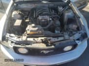 ✅ 2008 Ford Mustang GT Deluxe • VIN: 1ZVHT85H485192395 • Lot: 81083065. Listed on Copart with Not provided. Free auction sales archive from the USA and detailed vehicle history report at DreamBid. Image 11.