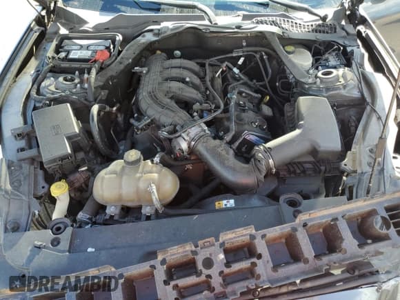 ✅ 2017 Ford Mustang V6 • VIN: 1FATP8EM8H5286333 • Lot: 89166155. Wystawiony na Copart z przebiegiem 98 391 mil. Bezpłatny archiwum sprzedaży aukcyjnych z USA i szczegółowy raport historii pojazdu na DreamBid. Zdjęcie 12.