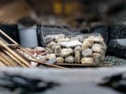 ✅ 2021 Ford F-550 XL • VIN: 1FDUF5HT5MEC13610 • Lot: 59234043. Wystawiony na Copart z przebiegiem 8 064 mil. Bezpłatny archiwum sprzedaży aukcyjnych z USA i szczegółowy raport historii pojazdu na DreamBid. Zdjęcie 10.