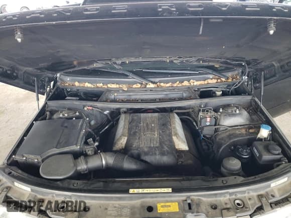 ✅ 2004 Land Rover Range Rover HSE • VIN: SALMF11434A168490 • Lot: 49913395. Wystawiony na Copart z przebiegiem 150 818 mil. Bezpłatny archiwum sprzedaży aukcyjnych z USA i szczegółowy raport historii pojazdu na DreamBid. Zdjęcie 11.