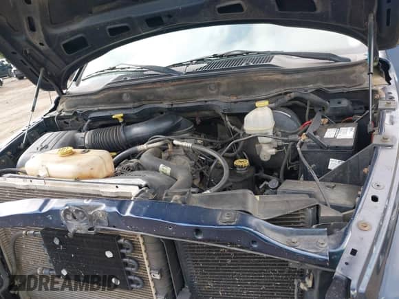 2003 Dodge 1500 ST z VIN 1D7HA18Z13J509060, wystawiony jako IAAI lot #42109249 z przebiegiem 183 547 mil mil oraz . Historia ofert i sprzedaży dostępna na DreamBid. Obrazek 10.