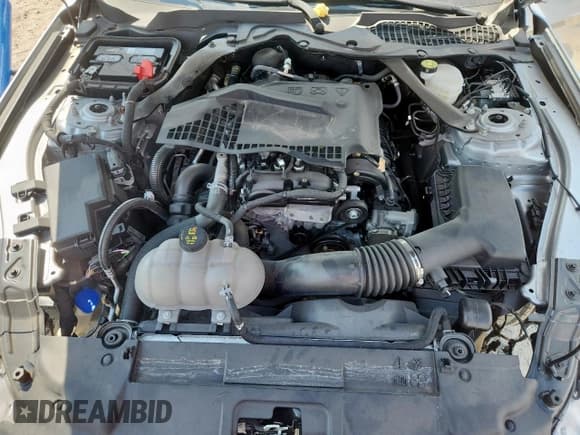 ✅ 2023 Ford Mustang EcoBoost • VIN: 1FATP8UH6P5105281 • Lot: 80669065. Listed on Copart with 36,373 mi. Free auction sales archive from the USA and detailed vehicle history report at DreamBid. Image 11.