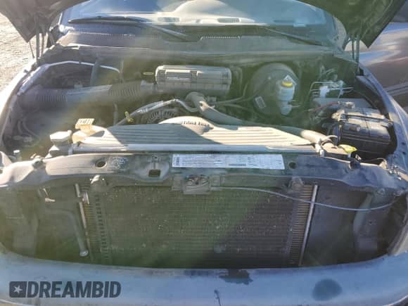 1999 Dodge 1500 с VIN 3B7HF13Z4XG160048, выставлен на аукционе Copart как лот 84405374 с пробегом 237 247 миль миль и Списание • Salvage title. История ставок и продаж доступна на DreamBid. Изображение 13.