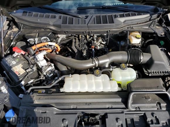 ✅ 2024 Ford F-150 XLT • VIN: 1FTFW3LD4RFB42001 • Lot: 89628175. Wystawiony na Copart z przebiegiem 10 556 mil. Bezpłatny archiwum sprzedaży aukcyjnych z USA i szczegółowy raport historii pojazdu na DreamBid. Zdjęcie 11.