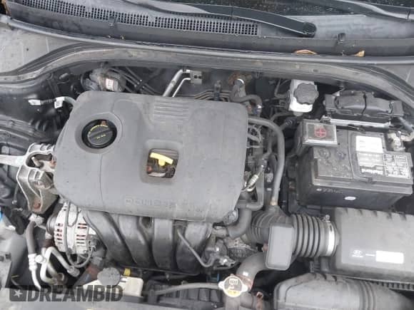 2019 Hyundai Elantra SEL with VIN 5NPD84LF8KH414554, listed as a IAAI auction lot 43480787 with 156,347 mi miles and . Bid and sale history available at DreamBid. Image 10.