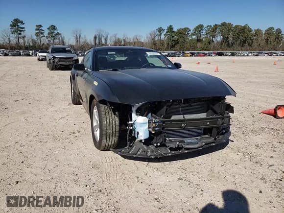 ✅ 2024 Ford Mustang EcoBoost • VIN: 1FA6P8TH2R5111676 • Лот: 42688734. Опубликован ранее на Copart с пробегом 3 955 миль. Бесплатный доступ к архиву аукционных продаж из США и подробный отчёт об истории автомобиля на DreamBid. Изображение 11.