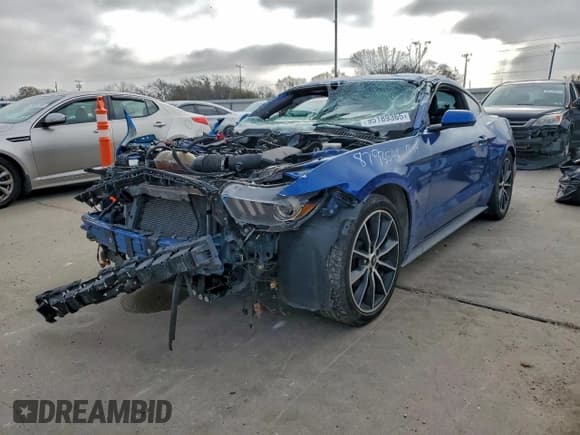 ✅ 2017 Ford Mustang EcoBoost • VIN: 1FA6P8THXH5306133 • Lot: 95189365. Listed on Copart with Not provided. Free auction sales archive from the USA and detailed vehicle history report at DreamBid. Image 1.