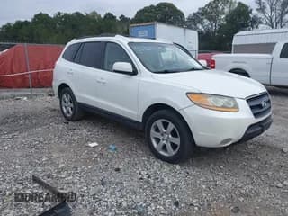 ✅ 2008 Hyundai Santa Fe SE • VIN: 5NMSH13E78H206832 • Lot: 43413902. Listed on IAAI with 132,642 mi. Free auction sales archive from the USA and detailed vehicle history report at DreamBid. Image 1.