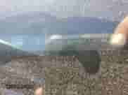 2016 Chevrolet Malibu LS with VIN 1G1ZB5ST3GF191581, listed as a Copart auction lot 89611695 with 183,480 mi miles and Salvage title. Bid and sale history available at DreamBid. Image 12.