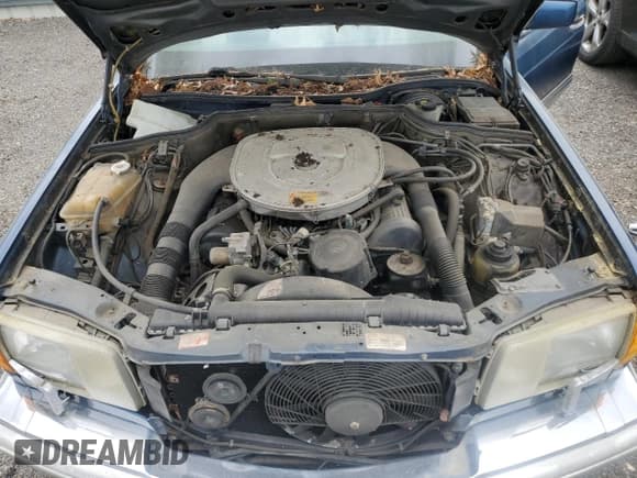 ✅ 1986 Mercedes-Benz 560 • VIN: WDBCA39D7GA260903 • Lot: 54634595. Wystawiony na Copart z przebiegiem 187 942 mil. Bezpłatny archiwum sprzedaży aukcyjnych z USA i szczegółowy raport historii pojazdu na DreamBid. Zdjęcie 11.