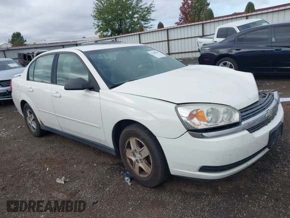 ✅ 2005 Chevrolet Malibu LS • VIN: 1G1ZT54865F216508 • Lot: 43480948. Listed on IAAI with 399,006 mi. Free auction sales archive from the USA and detailed vehicle history report at DreamBid. Image 1.