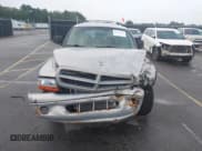 ✅ 1999 Dodge Durango • VIN: 1B4HR28Y4XF659931 • Lot: 43051060. Wystawiony na IAAI z przebiegiem 271 761 mil. Bezpłatny archiwum sprzedaży aukcyjnych z USA i szczegółowy raport historii pojazdu na DreamBid. Zdjęcie 12.