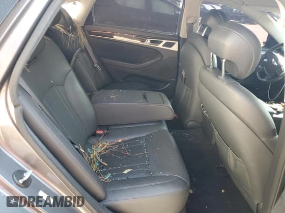 ✅ 2015 Hyundai Genesis 3.8L • VIN: KMHGN4JE2FU068525 • Lot: 74798964. Wystawiony na Copart z przebiegiem 140 056 mil. Bezpłatny archiwum sprzedaży aukcyjnych z USA i szczegółowy raport historii pojazdu na DreamBid. Zdjęcie 10.