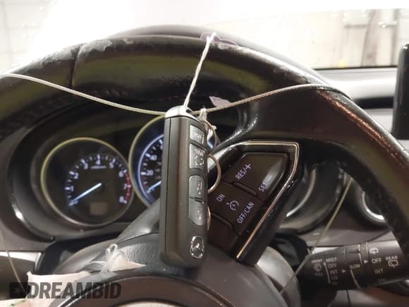 ✅ 2016 Mazda CX-9 Touring • VIN: JM3TCBCY1G0106623 • Lot: 42232012. Wystawiony na IAAI z przebiegiem 190 206 mil. Bezpłatny archiwum sprzedaży aukcyjnych z USA i szczegółowy raport historii pojazdu na DreamBid. Zdjęcie 11.