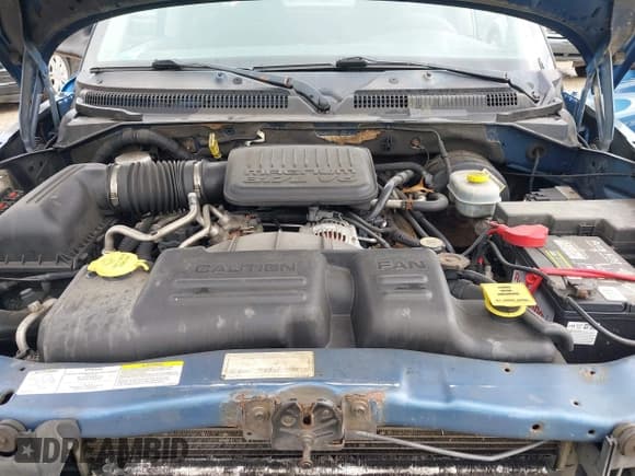 ✅ 2001 Dodge Dakota Sport • VIN: 1B7HG2AN21S194735 • Lot: 42182165. Wystawiony na IAAI z przebiegiem 163 350 mil. Bezpłatny archiwum sprzedaży aukcyjnych z USA i szczegółowy raport historii pojazdu na DreamBid. Zdjęcie 10.