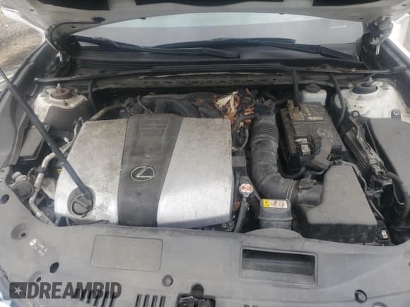 ✅ 2019 Lexus ES 350 Luxury • VIN: 58ABZ1B1XKU010822 • Лот: 85130235. Опубликован ранее на Copart с пробегом Не указан. Бесплатный доступ к архиву аукционных продаж из США и подробный отчёт об истории автомобиля на DreamBid. Изображение 11.