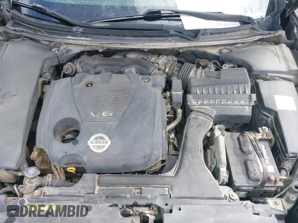 ✅ 2010 Nissan Maxima SV • VIN: 1N4AA5AP9AC823767 • Lot: 42363684. Listed on IAAI with 190,045 mi. Free auction sales archive from the USA and detailed vehicle history report at DreamBid. Image 10.