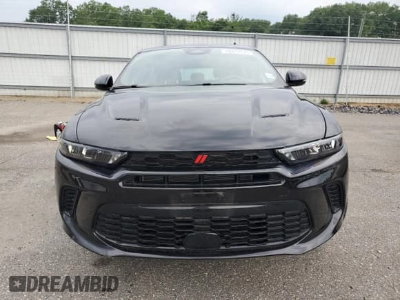 ✅ 2024 Dodge Hornet R/T • VIN: ZACPDFCWXR3A08904 • Lot: 68842675. Listed on Copart with 8,794 mi. Free auction sales archive from the USA and detailed vehicle history report at DreamBid. Image 5.