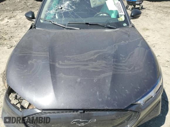 ✅ 2022 Ford Mustang Mach-E California Route 1 • VIN: 3FMTK2SU3NMA41919 • Lot: 50888535. Listed on Copart with Not provided. Free auction sales archive from the USA and detailed vehicle history report at DreamBid. Image 12.