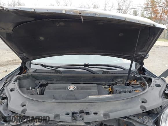 ✅ 2015 Cadillac SRX Luxury Collection • VIN: 3GYFNEE37FS607889 • Lot: 43686485. Wystawiony na IAAI z przebiegiem 155 647 mil. Bezpłatny archiwum sprzedaży aukcyjnych z USA i szczegółowy raport historii pojazdu na DreamBid. Zdjęcie 10.