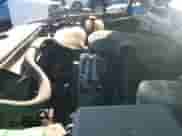 2006 Chevrolet Silverado 1500 LT1 с VIN 2GCEK13T361182091, выставлен на аукционе IAAI как лот 42632973 с пробегом 309 429 миль миль и . История ставок и продаж доступна на DreamBid. Изображение 19.