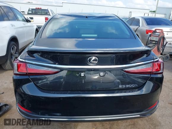 ✅ 2025 Lexus ES 300h Ultra Luxury • VIN: 58AFA1C16SU067283 • Lot: 42344861. Wystawiony na IAAI z przebiegiem 202 mil. Bezpłatny archiwum sprzedaży aukcyjnych z USA i szczegółowy raport historii pojazdu na DreamBid. Zdjęcie 17.