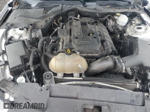 ✅ 2019 Ford Mustang EcoBoost Premium • VIN: 1FA6P8TH9K5159777 • Lot: 81161735. Wystawiony na Copart z przebiegiem 121 689 mil. Bezpłatny archiwum sprzedaży aukcyjnych z USA i szczegółowy raport historii pojazdu na DreamBid. Zdjęcie 11.