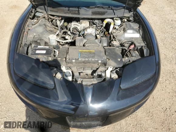 ✅ 2002 Pontiac Firebird Firebird • VIN: 2G2FS22K122118787 • Lot: 62600045. Wystawiony na Copart z przebiegiem 122 335 mil. Bezpłatny archiwum sprzedaży aukcyjnych z USA i szczegółowy raport historii pojazdu na DreamBid. Zdjęcie 11.