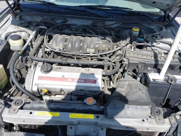 ✅ 2001 Nissan Maxima GXE • VIN: JN1CA31D41T815592 • Lot: 42465005. Listed on IAAI with 96,822 mi. Free auction sales archive from the USA and detailed vehicle history report at DreamBid. Image 10.