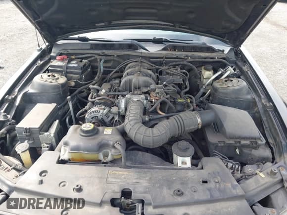 ✅ 2009 Ford Mustang • VIN: 1ZVHT80N295145154 • Lot: 42979066. Listed on IAAI with 124,851 mi. Free auction sales archive from the USA and detailed vehicle history report at DreamBid. Image 10.