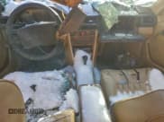 ✅ 1987 Mercedes-Benz 300 D • VIN: WDBEB33D5HA437559 • Lot: 95560735. Listed on Copart with Not provided. Free auction sales archive from the USA and detailed vehicle history report at DreamBid. Image 8.