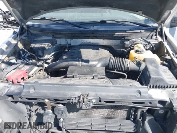 ✅ 2014 Ford F-150 XL • VIN: 1FTFX1ET7EFC29083 • Lot: 43135777. Wystawiony na IAAI z przebiegiem 193 398 mil. Bezpłatny archiwum sprzedaży aukcyjnych z USA i szczegółowy raport historii pojazdu na DreamBid. Zdjęcie 10.