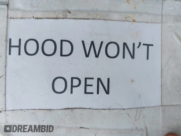 ✅ 2012 Ram 1500 Sport • VIN: 1C6RD7MT4CS154994 • Lot: 42818900. Wystawiony na IAAI z przebiegiem 117 437 mil. Bezpłatny archiwum sprzedaży aukcyjnych z USA i szczegółowy raport historii pojazdu na DreamBid. Zdjęcie 10.