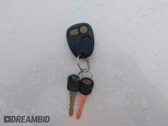 ✅ 1997 Chevrolet Silverado 1500 • VIN: 1GCEK19R8VE268781 • Lot: 43697229. Listed on IAAI with 178,527 mi. Free auction sales archive from the USA and detailed vehicle history report at DreamBid. Image 11.