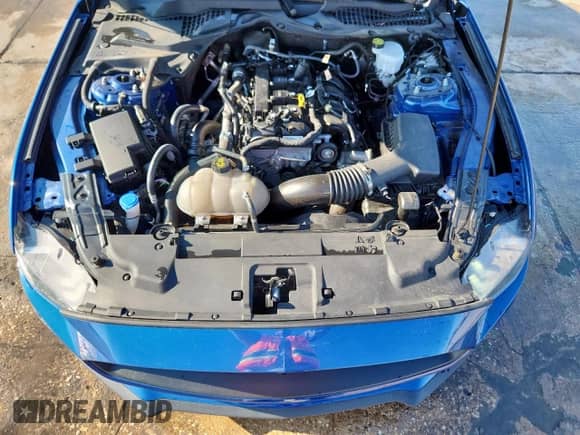 2023 Ford Mustang EcoBoost with VIN 1FA6P8TH5P5106226, listed as a Copart auction lot 69764225 with 40,461 mi miles and Clean title. Bid and sale history available at DreamBid. Image 11.