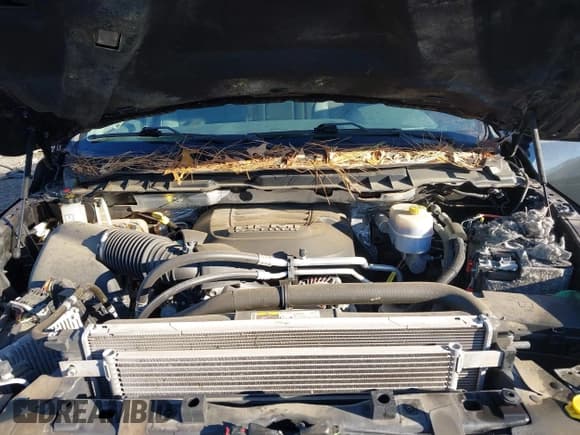 ✅ 2016 Ram 2500 SLT • VIN: 3C6UR5DJ4GG244805 • Lot: 43813913. Wystawiony na IAAI z przebiegiem 45 201 mil. Bezpłatny archiwum sprzedaży aukcyjnych z USA i szczegółowy raport historii pojazdu na DreamBid. Zdjęcie 10.