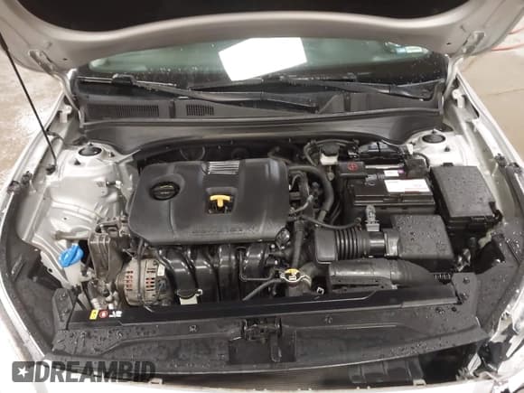 ✅ 2019 Kia Forte LXS • VIN: 3KPF24ADXKE044658 • Лот: 43350368. Опубликован ранее на IAAI с пробегом 104 387 миль. Бесплатный доступ к архиву аукционных продаж из США и подробный отчёт об истории автомобиля на DreamBid. Изображение 10.