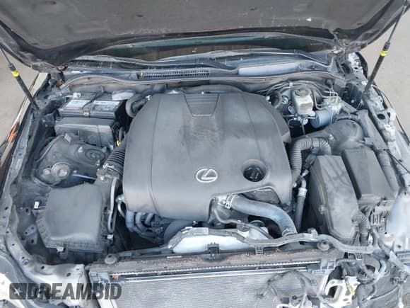 ✅ 2014 Lexus IS 250 • VIN: JTHBF1D21E5016905 • Lot: 43209886. Listed on IAAI with 172,652 mi. Free auction sales archive from the USA and detailed vehicle history report at DreamBid. Image 10.