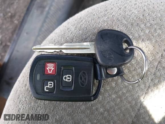 ✅ 2005 Hyundai Santa Fe GLS • VIN: KM8SC73D55U965052 • Лот: 42124944. Размещён на IAAI с пробегом 117 178 миль миль. Получите бесплатный доступ к архиву аукционных продаж из США и посмотрите подробный отчёт об истории автомобиля на DreamBid. Изображение 11.