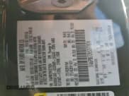 ✅ 2017 Ford Mustang GT • VIN: 1FA6P8CF2H5277824 • Lot: 95525985. Wystawiony na Copart z przebiegiem 33 174 mil. Bezpłatny archiwum sprzedaży aukcyjnych z USA i szczegółowy raport historii pojazdu na DreamBid. Zdjęcie 12.